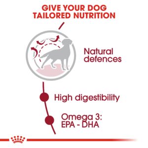 MEDIUM ADULT 4 KG - Royal Canin Dry Dog Food in Qatar
