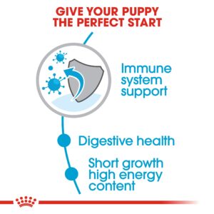 MEDIUM PUPPY 15 KG - Royal Canin Dry Dog Food in Qatar