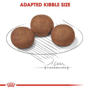 MEDIUM PUPPY 15 KG - Royal Canin Dry Dog Food in Qatar