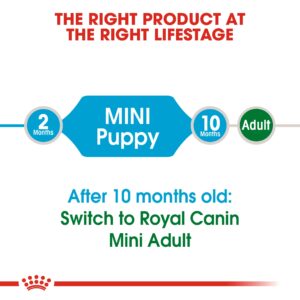MINI PUPPY 8 KG - Royal Canin Dry Dog Food in Qatar