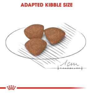 MINI PUPPY 8 KG - Royal Canin Dry Dog Food in Qatar