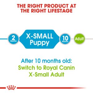XS PUPPY 1.5 KG - Royal Canin Dry Dog Food in Qatar