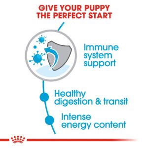 XS PUPPY 1.5 KG - Royal Canin Dry Dog Food in Qatar