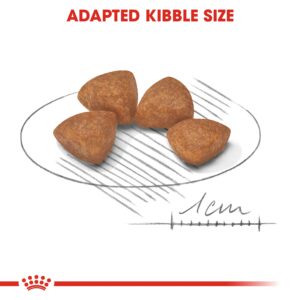 XS PUPPY 1.5 KG - Royal Canin Dry Dog Food in Qatar