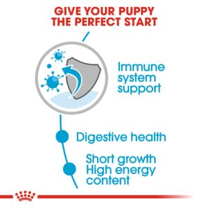 MEDIUM PUPPY (WET FOOD - POUCHES) Box of 10x140g - Royal Canin Wet Dog Food in Qatar