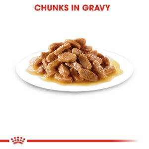 MEDIUM PUPPY (WET FOOD - POUCHES) Box of 10x140g - Royal Canin Wet Dog Food in Qatar