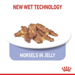 INDOOR STERILISED JELLY (WET FOOD - POUCHES) Box of 12x85g - Royal Canin Cat Wet Food in Qatar