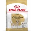 CHIHUAHUA PUPPY 1.5 KG - Royal Canin Dry Dog Food in Qatar