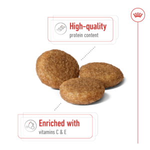 MEDIUM ADULT 4 KG - Royal Canin Dry Dog Food in Qatar