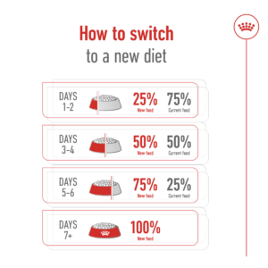 MEDIUM ADULT 4 KG - Royal Canin Dry Dog Food in Qatar