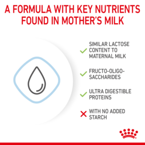SIZE HEALTH NUTRITION BABYDOG MILK 400 G - Royal Canin Wet Dog Food in Qatar