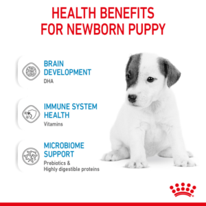 SIZE HEALTH NUTRITION BABYDOG MILK 400 G - Royal Canin Wet Dog Food in Qatar