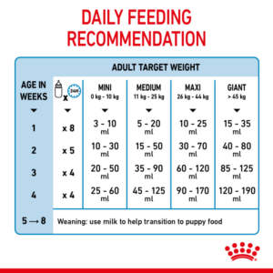 SIZE HEALTH NUTRITION BABYDOG MILK 400 G - Royal Canin Wet Dog Food in Qatar