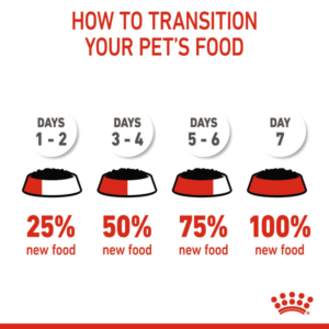 KITTEN GRAVY (WET FOOD - POUCHES) Box of 12x85g - Royal Canin Cat Wet Food in Qatar