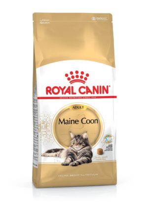 MAINE COON ADULT 2 KG - Royal Canin Dry in Qatar