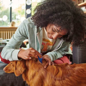 FIPROTEC FOR LARGE DOG - 4 PIPETTES - Dog Care in Qatar