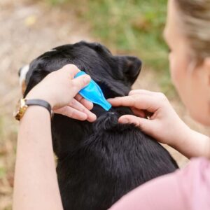 FLEA & TICK TREATMENTS - FIPROTEC FOR SMALL DOG - 4 PIPETTES - Dog Care in Qatar