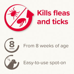 FIPROTEC FOR LARGE DOG - 4 PIPETTES - Dog Care in Qatar