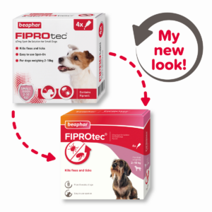 FLEA & TICK TREATMENTS - FIPROTEC FOR SMALL DOG - 4 PIPETTES - Dog Care in Qatar