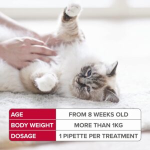 ANTI FLEA & TICK TREATMENT- FIPROTEC FOR CAT - 4 PIPETTES - Cat Care in Qatar