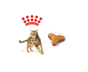 Royal Canin Dry