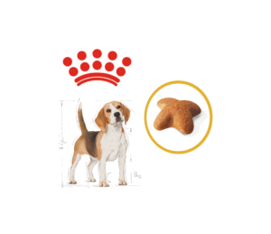 Royal Canin Dry Dog Food