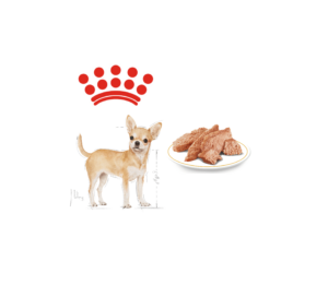 Royal Canin Wet Dog Food