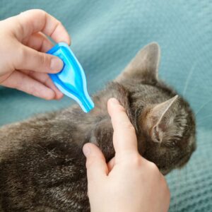 ANTI FLEA & TICK TREATMENT- FIPROTEC FOR CAT - 4 PIPETTES - Cat Care in Qatar