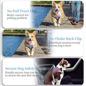 DOG HARNESS XXL - FOR MEDIUM LARGE BREEDS - for Dogs in Qatar