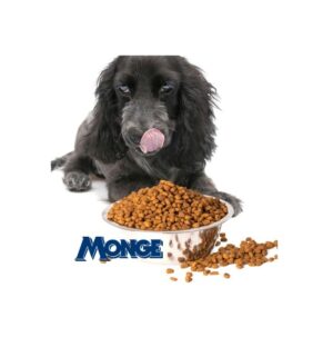 Monge Dry