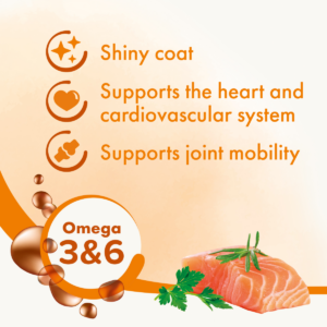 SALMON OIL 430ML - Cat Supplements in Qatar
