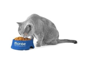 Monge Dry Cat Food