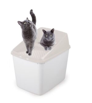 NO MESS LITTER BOX - SAND - For Cats in Qatar