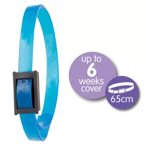 CALMING COLLAR FOR DOG - Dog Care in Qatar