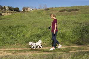 HALTI RETRACTABLE LEAD BLACK / MEDIUM - for Dogs in Qatar
