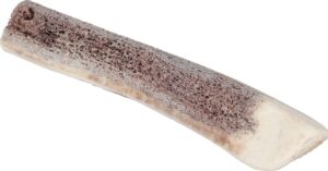 NATURAL DEER ANTLER FOR PUPPY - Dog Treats in Qatar