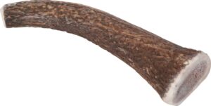 NATURAL DEER ANTLER HARD FOR DOGS OVER 20KG - Dog Treats in Qatar