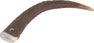 NATURAL DEER ANTLER HARD FOR DOGS UNDER 15KG - Dog Treats in Qatar