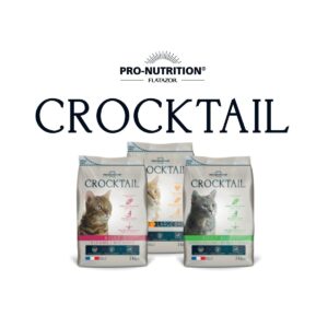 Crocktail Dry