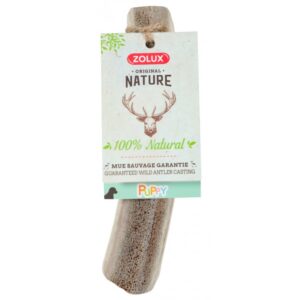 NATURAL DEER ANTLER FOR PUPPY - Dog Treats in Qatar