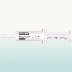 INTESTOPRO ANTI DIARRHEA PASTE SYRINGE SMALL DOG & CAT 20ML - Cat Care in Qatar