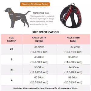 Dog Harness with reflective edges - XSmall - for Dogs in Qatar