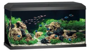 JUWEL PRIMO 110 LED 2.0 - BLACK - Aquariums in Qatar