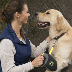 Flexi Giant Professional Tape Leash (Yellow) - Pet Accessories in Qatar