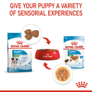 MINI PUPPY (WET FOOD - POUCHES) Box of 12x85g - Royal Canin Wet Dog Food in Qatar