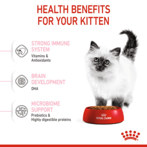 Feline Health Nutrition Kitten 4 KG - Royal Canin Dry in Qatar