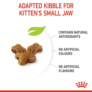 Feline Health Nutrition Kitten 4 KG - Royal Canin Dry in Qatar