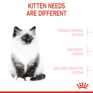 Feline Health Nutrition Kitten 4 KG - Royal Canin Dry in Qatar