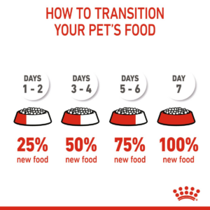 Feline Health Nutrition Kitten 4 KG - Royal Canin Dry in Qatar