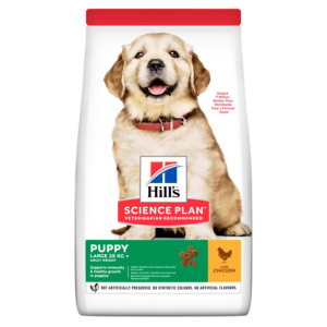 HILL'S SCIENCE PLAN LARGE BREED PUPPY FOOD WITH CHICKEN 16KG - Hill's Dry Dog Food in Qatar